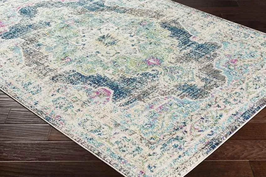 Aria Traditional Area Rug Carpet for Living Room Bedroom or Kitchen