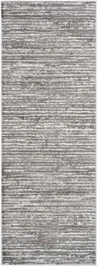 Delisle 3x7 Transitional Gray Area Rug Carpet for Living Room Bedroom or Kitchen (2'7" x 7'3")