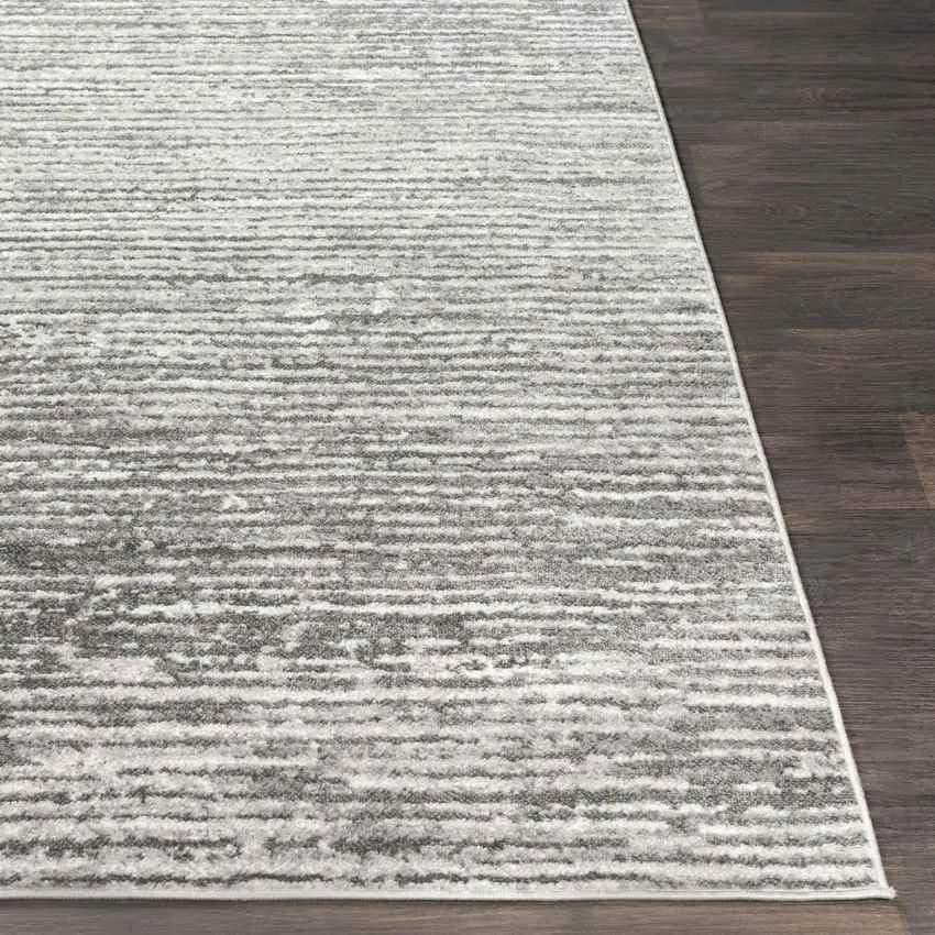 Delisle 3x7 Transitional Gray Area Rug Carpet for Living Room Bedroom or Kitchen (2'7" x 7'3")