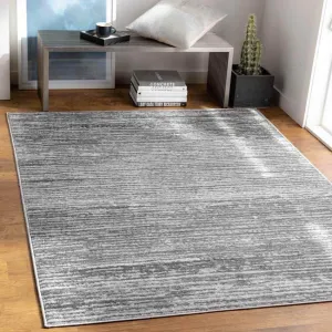 Delisle 3x7 Transitional Gray Area Rug Carpet for Living Room Bedroom or Kitchen (2'7" x 7'3")