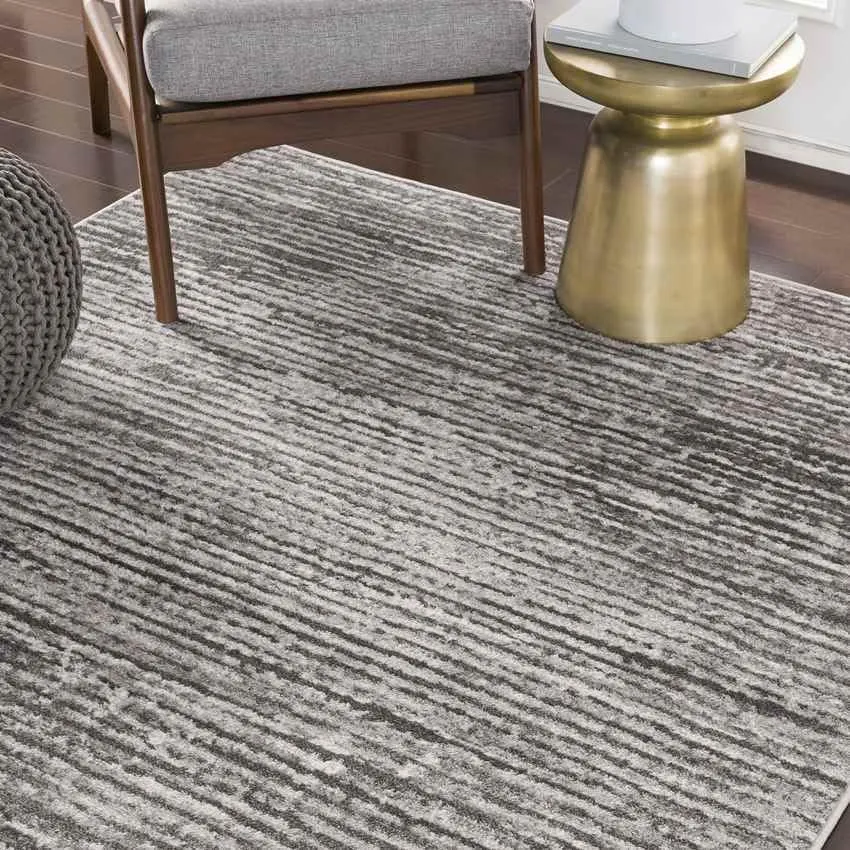 Delisle 3x7 Transitional Gray Area Rug Carpet for Living Room Bedroom or Kitchen (2'7" x 7'3")