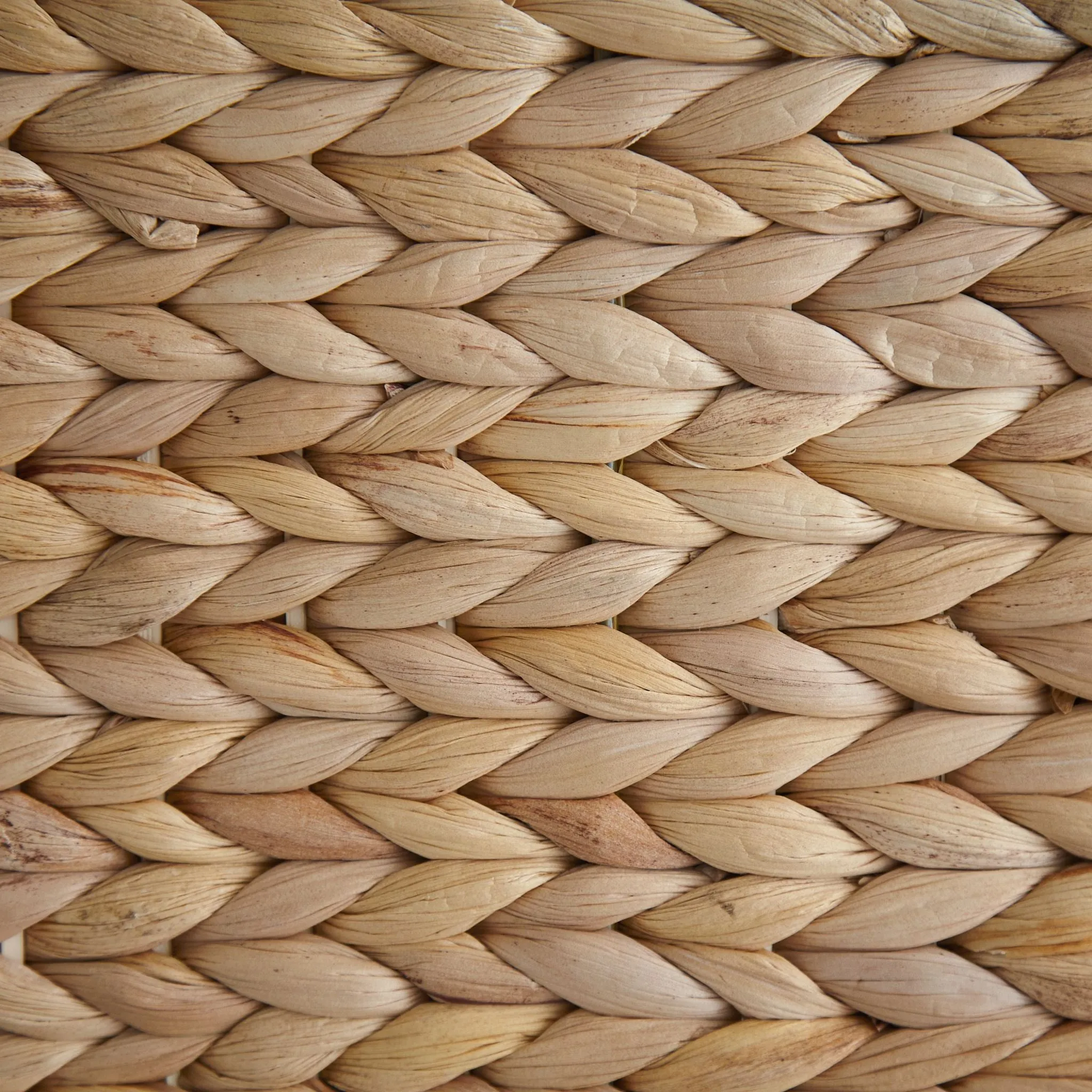 Elian Basket