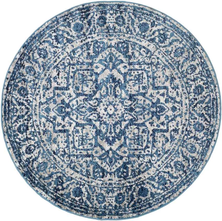 Emma Traditional Area Rug Carpet for Living Room Bedroom or Kitchen