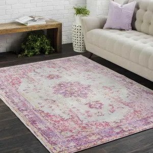 Everly Traditional Area Rug Carpet for Living Room Bedroom or Kitchen
