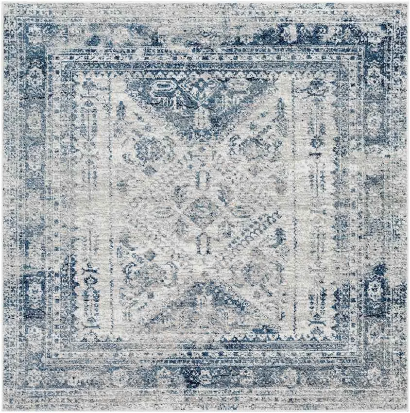 Jules Traditional Area Rug Carpet for Living Room Bedroom or Kitchen