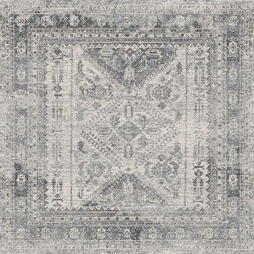 Jules Traditional Area Rug Carpet for Living Room Bedroom or Kitchen