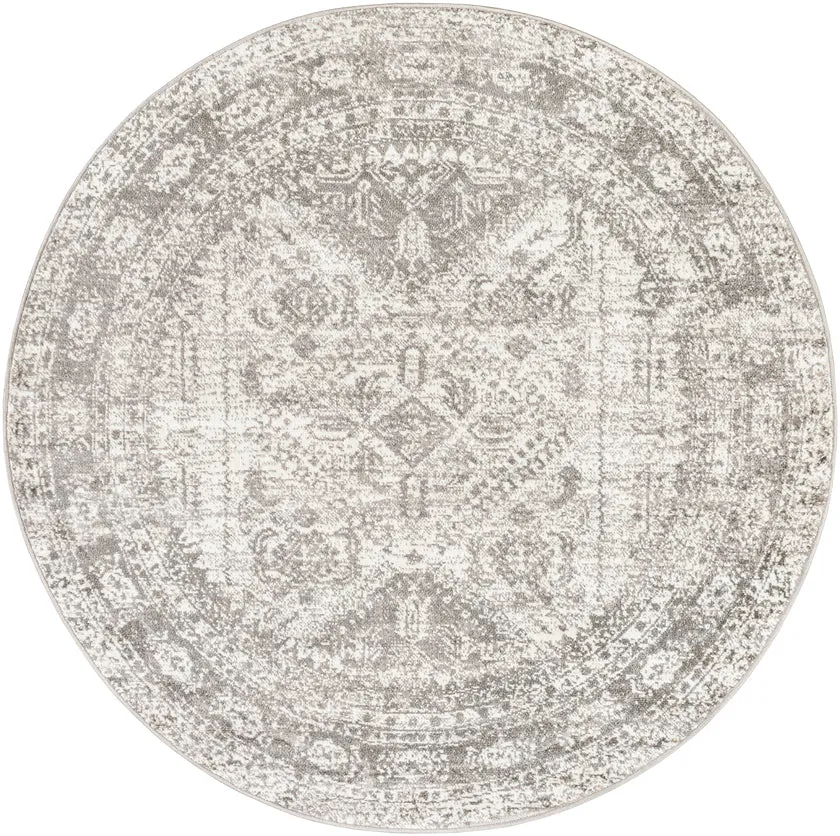 Jules Traditional Area Rug Carpet for Living Room Bedroom or Kitchen