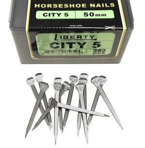 Liberty City Head 5 250x12 Horse Nails