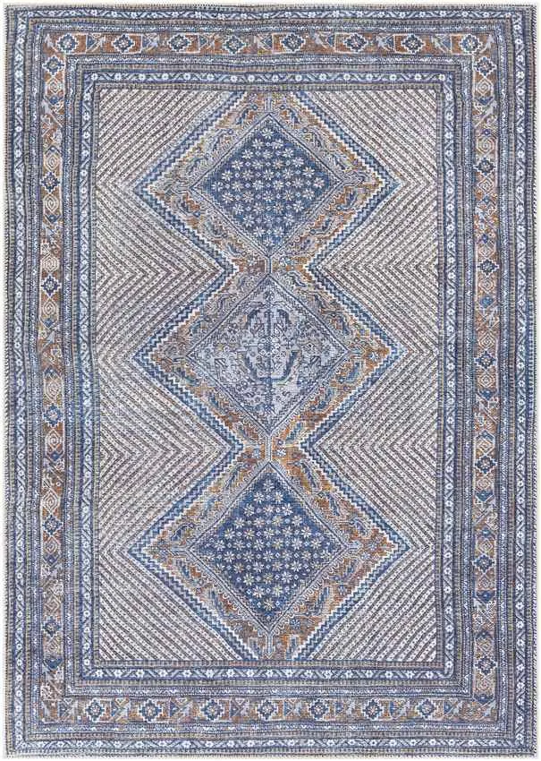 Limmen Traditional Blue Area Rug Carpet for Living Room Bedroom or Kitchen