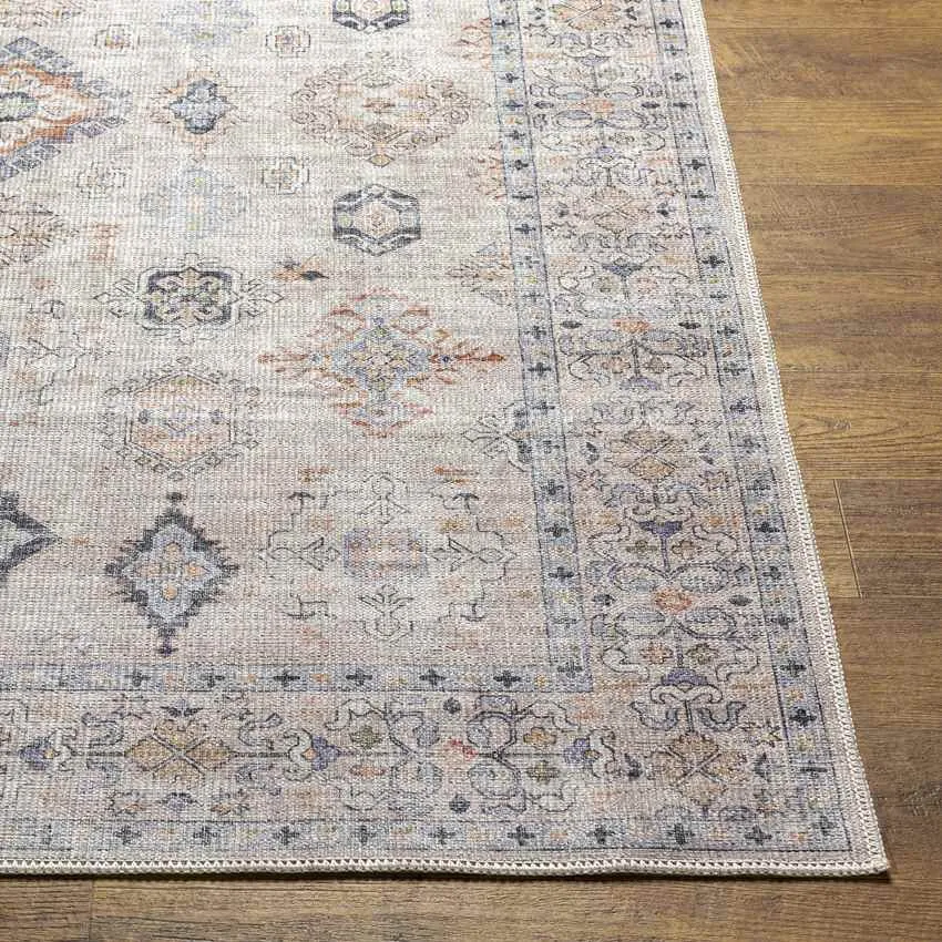 Northutica Traditional Beige Area Rug Carpet for Living Room Bedroom or Kitchen