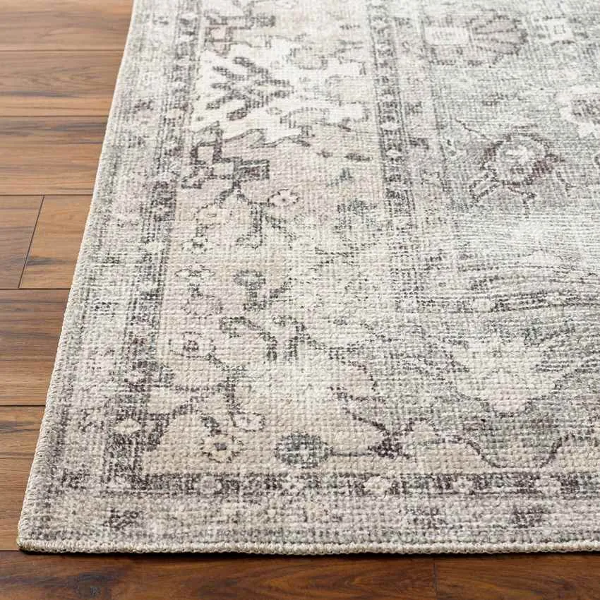 Philipp Traditional Area Rug Carpet for Living Room Bedroom or Kitchen